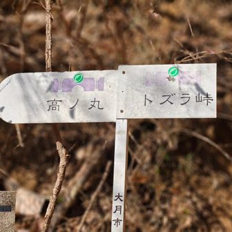 トズラ峠まできました。
林道？と交差します🙋