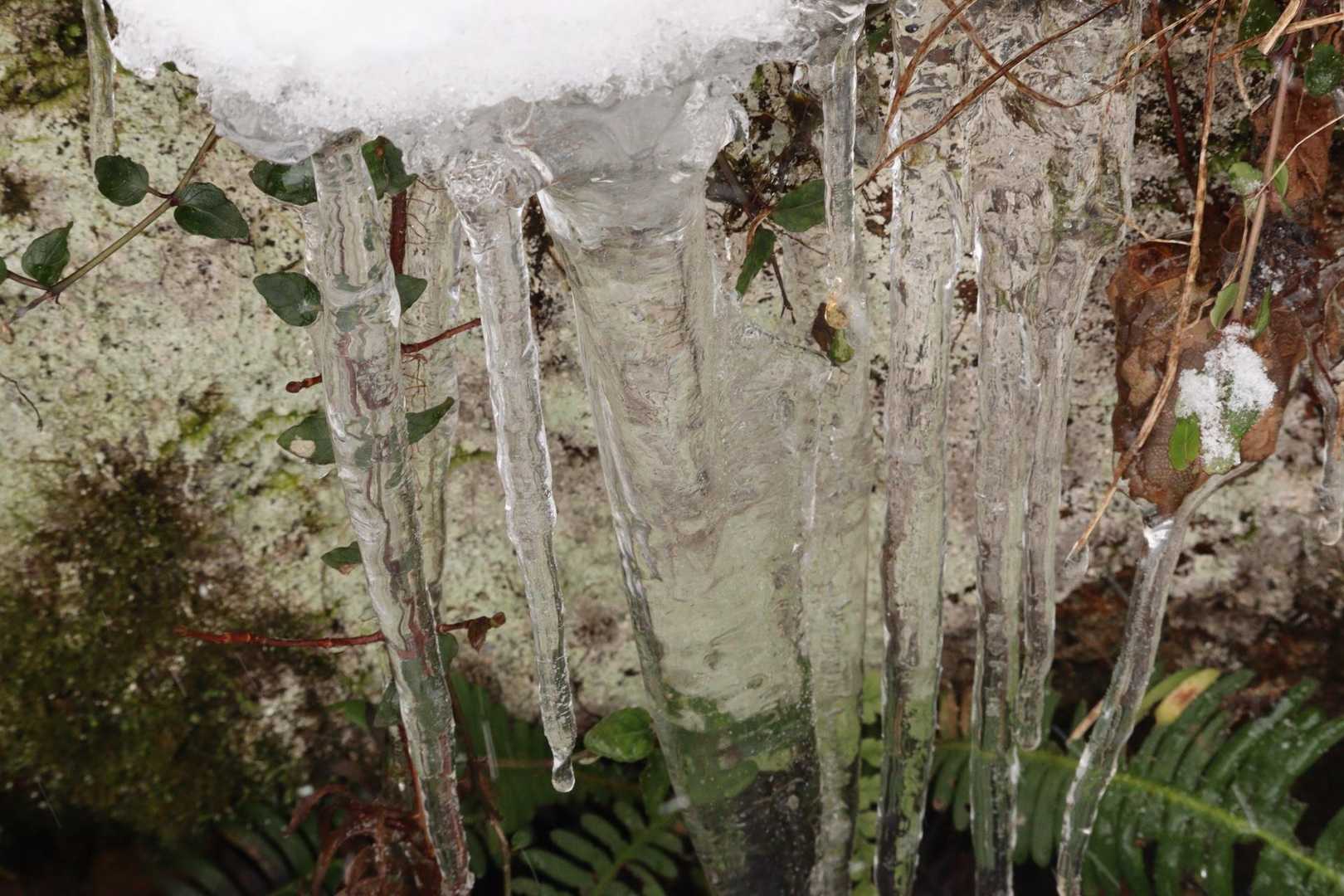 水晶山神社-水晶山 往復コースの写真