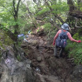石楠立への下りかなり足場が悪いです。