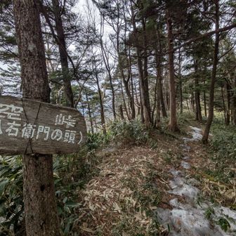 帰りは真っ白な世界に変わっていた。