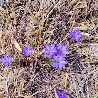 かわいい！目立つ！