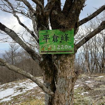 曽爾高原方面のロケーションが良い感じ