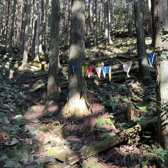 一昔前はまあまあ人が来てたんだろうね