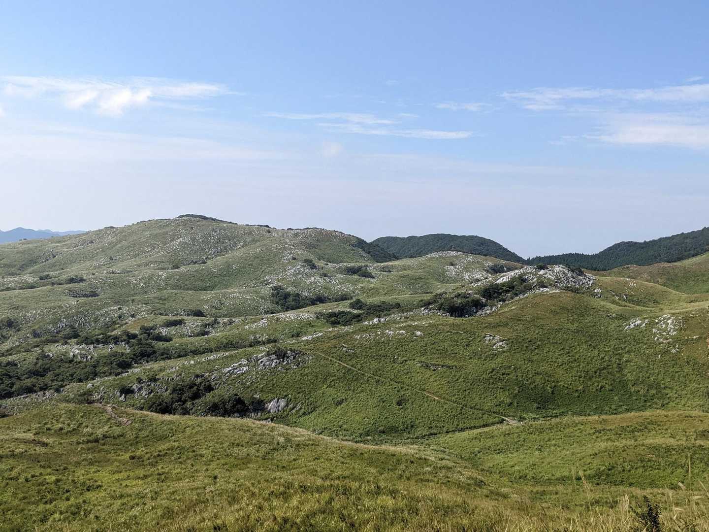 みとれる