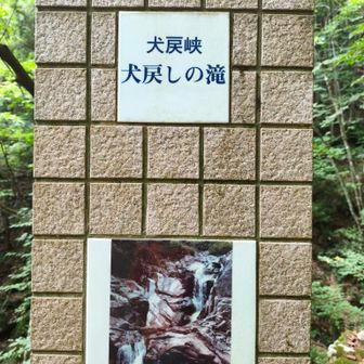 犬戻峡の下側にやってきた
先には進めない…