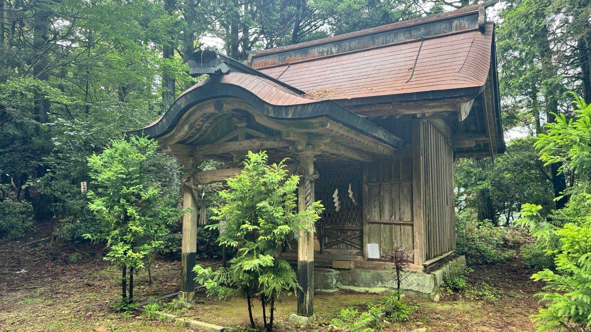 金毘羅神社⛩
全力で祈ろう🙏
「痩せますように・・・」