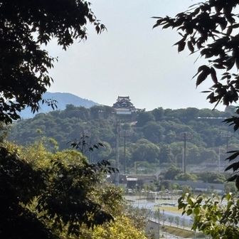 彦根城が正面に🏯