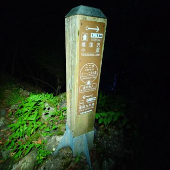 久々に南アルプスお馴染みの標柱を見ました。これなんか好きなんすよね