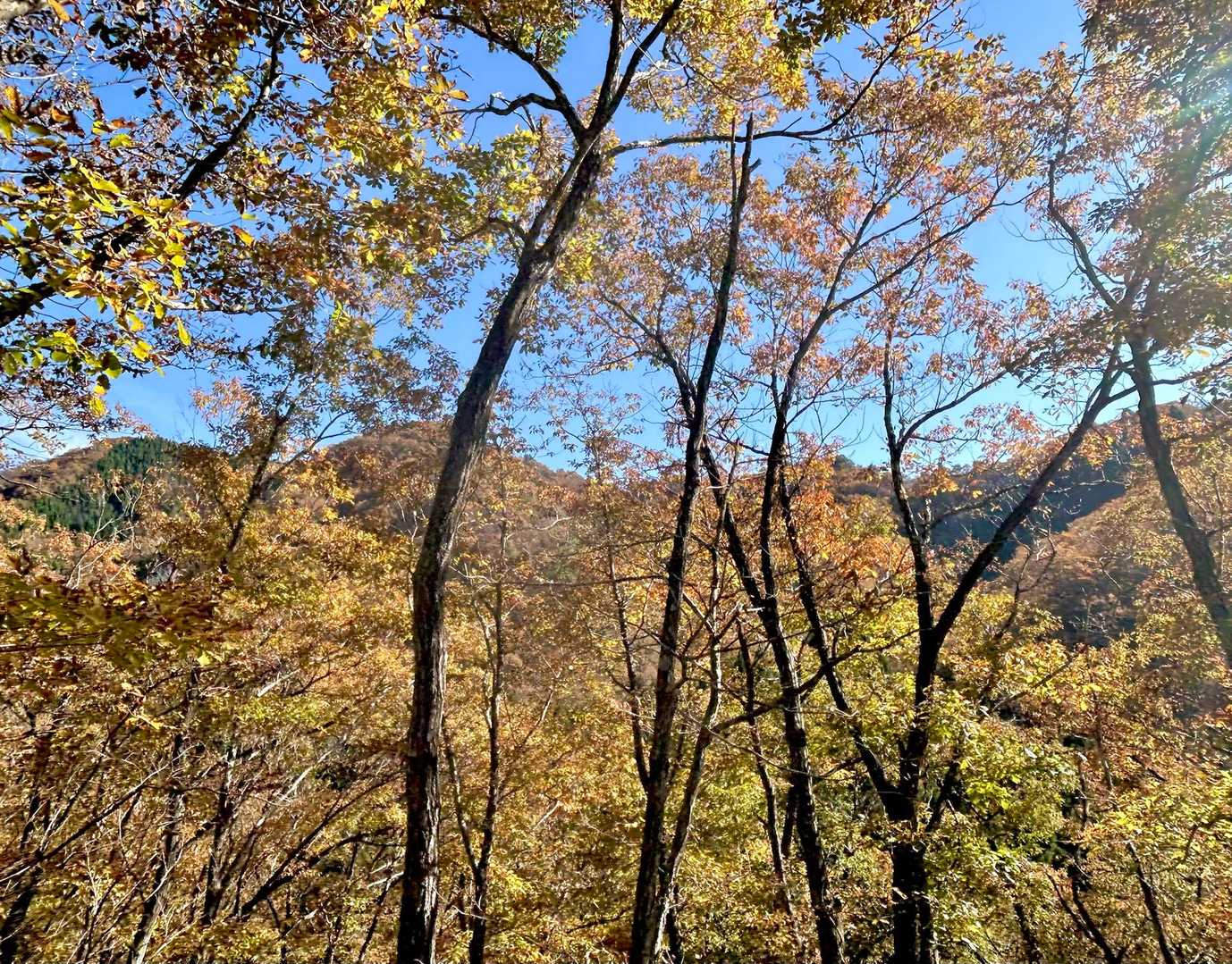💛🧡💛🧡しっかり👁️に焼き付けて🙌