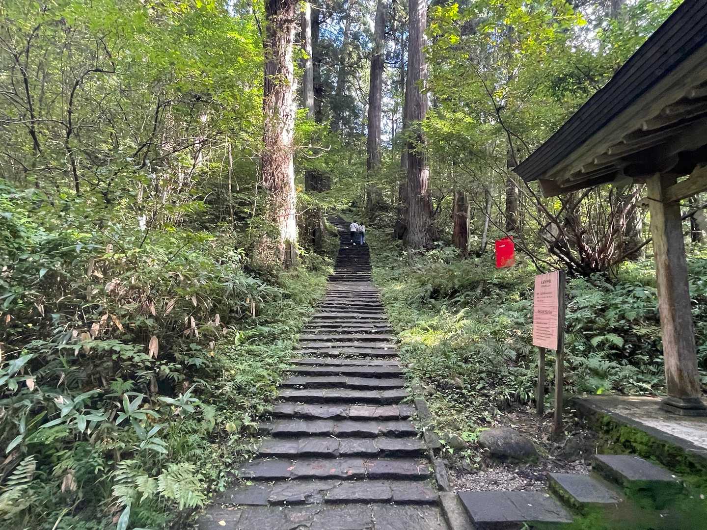 五重塔を過ぎると斜度が上がっていきます🥵