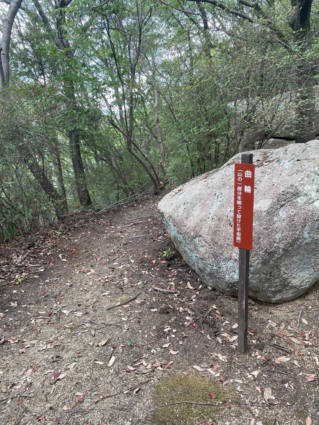 向山-杉山-高丸 周回コースの写真