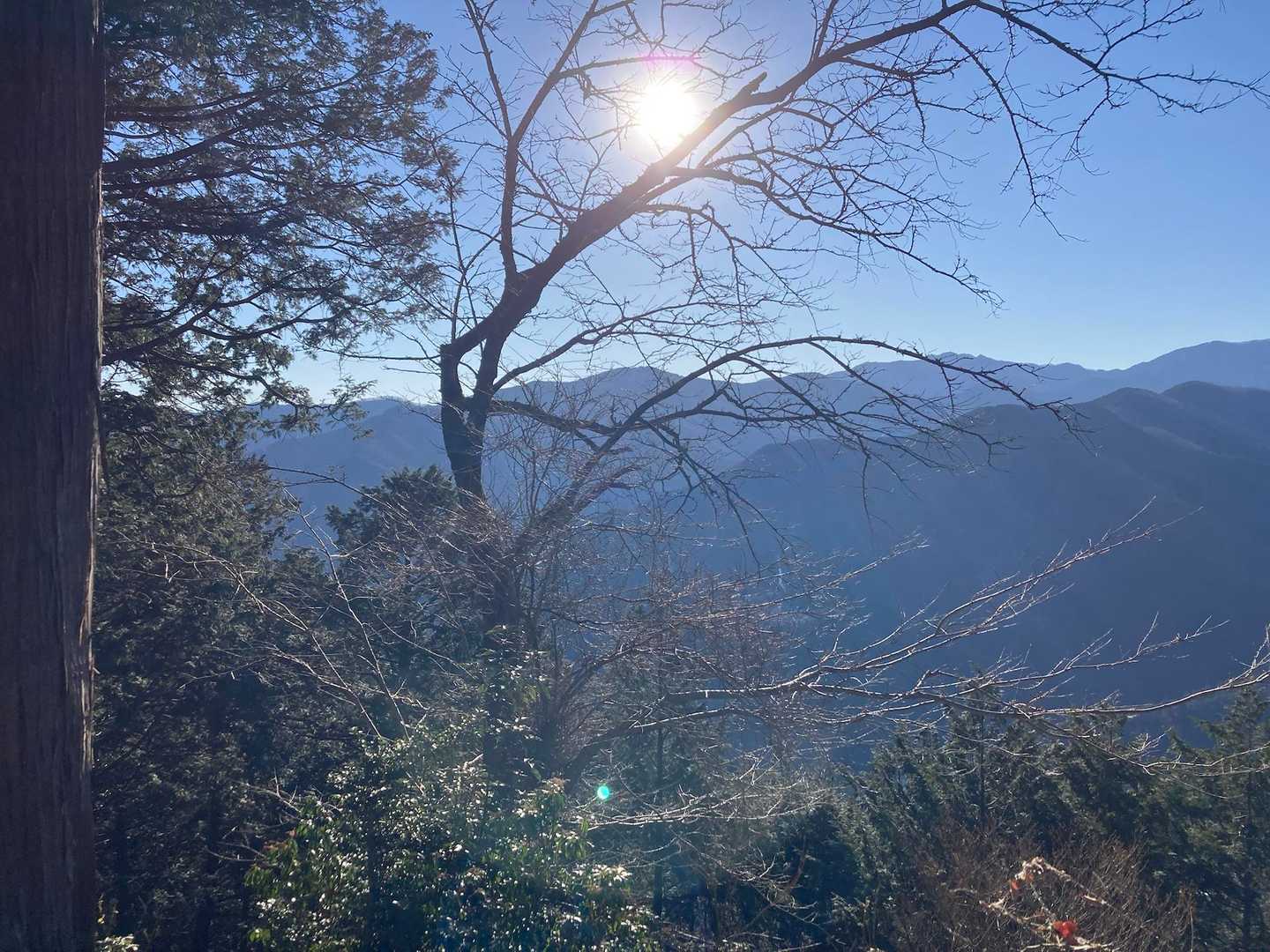 竹寺-豆口峠-子ノ山 往復コースの写真