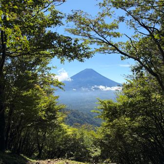 山頂の眺望はこれだけです