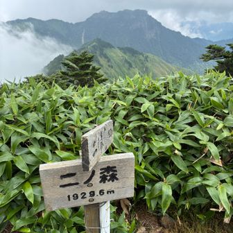 ニノ森到着。奥に石鎚山。