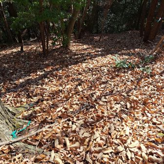 道がなくなった⤵