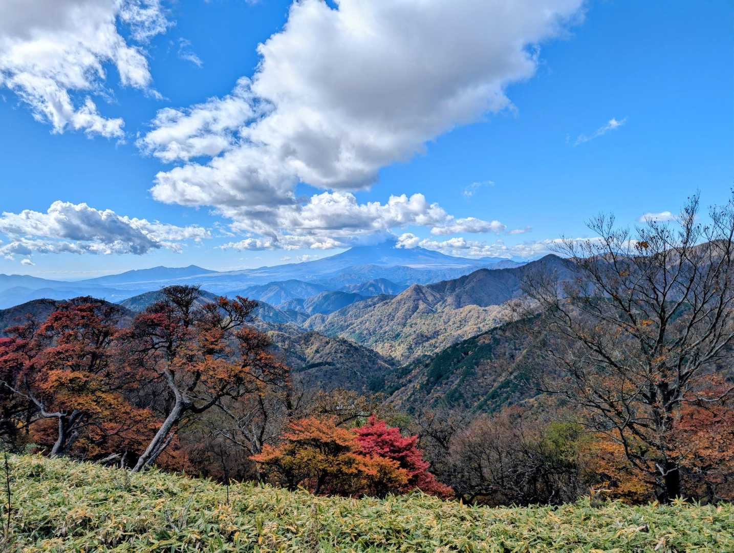 紅葉後もう少し
