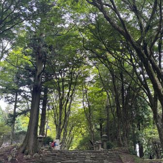 来ました〜✨