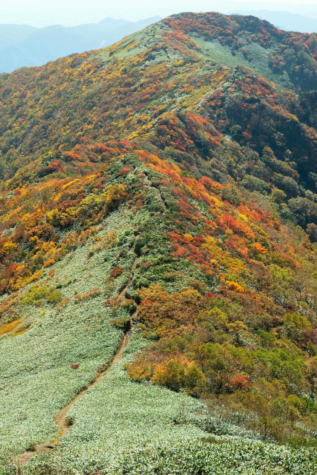 松ノ木沢ノ頭-白毛門-笠ヶ岳 往復コースの写真