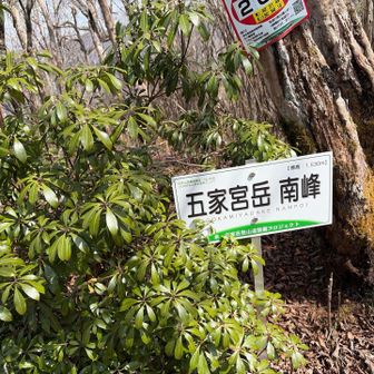 この山頂名もそうです。