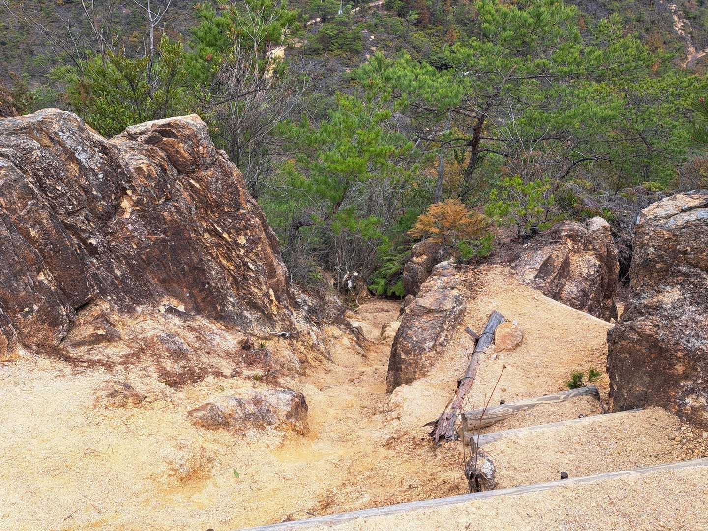三上山から縦走路に入ると路面状態が一気に変化する。金勝アルプスに似ている