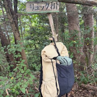 せっかくなんで〜🤭