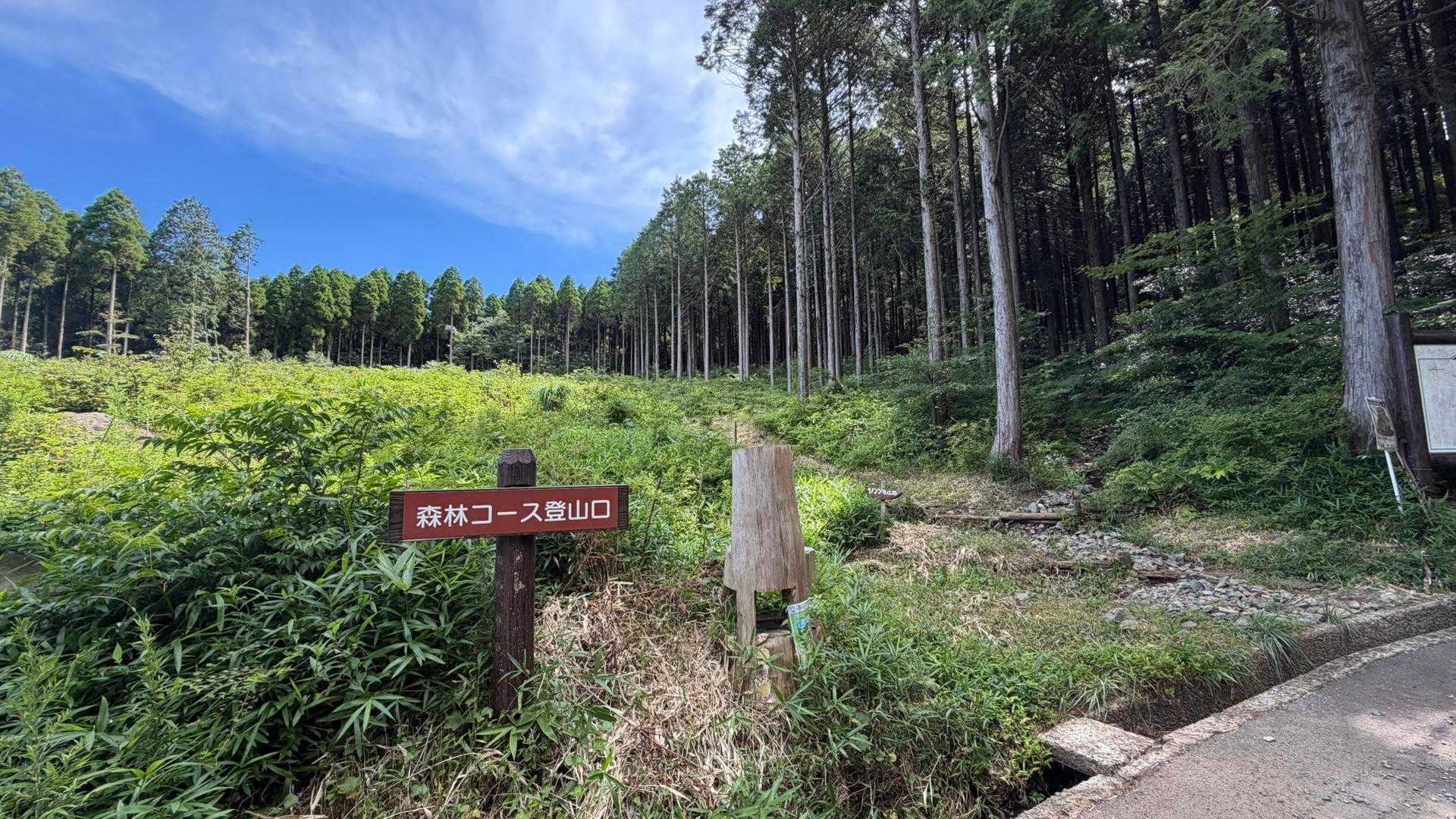 森林コースで山頂目指します⛰️