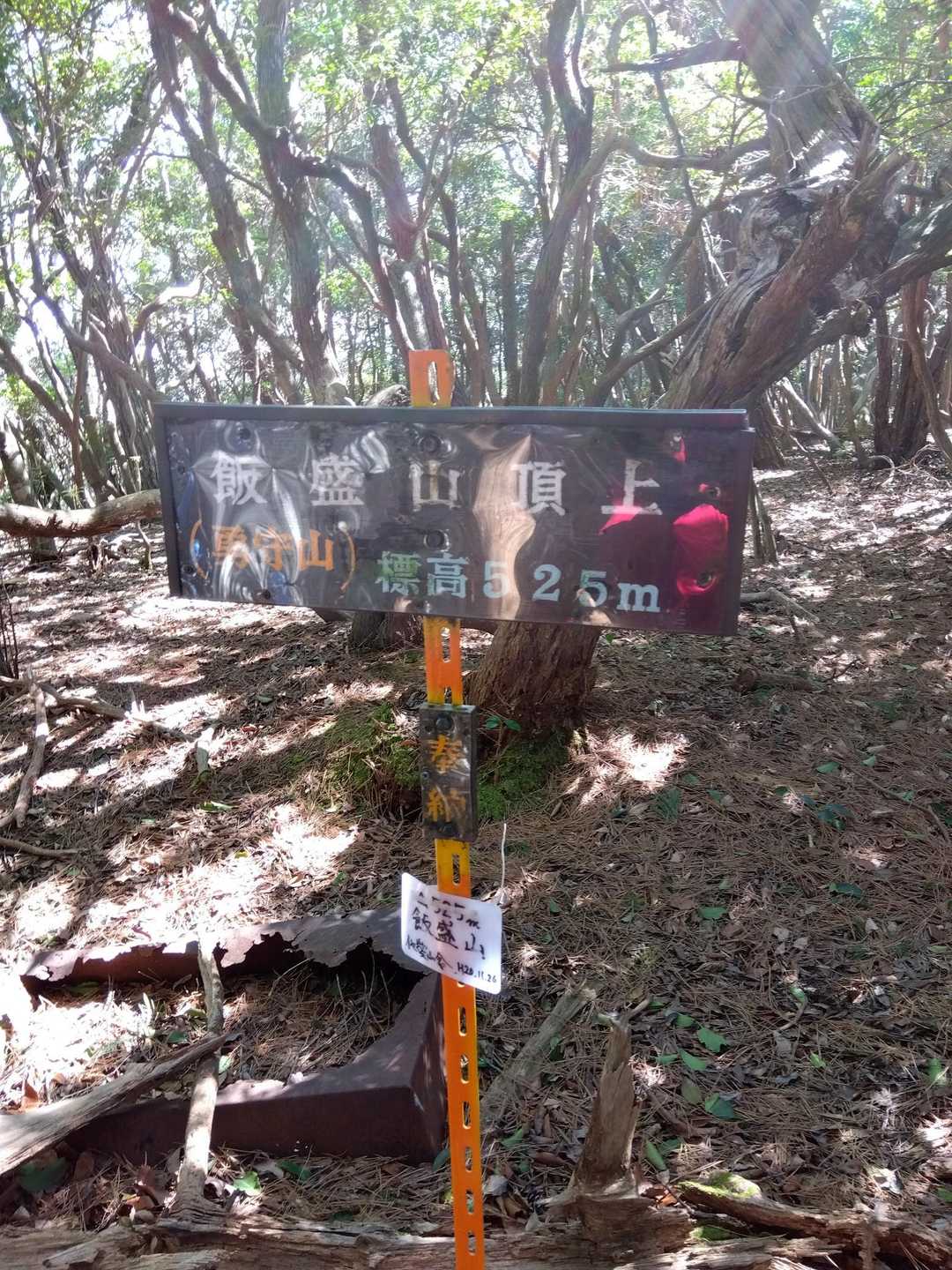 羽沢-鎌知土-田代越-飯盛山 周回コースの写真