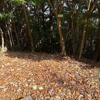 雄笠山のてっぺん。眺望なしorz