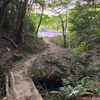 コケることなく無事下山
