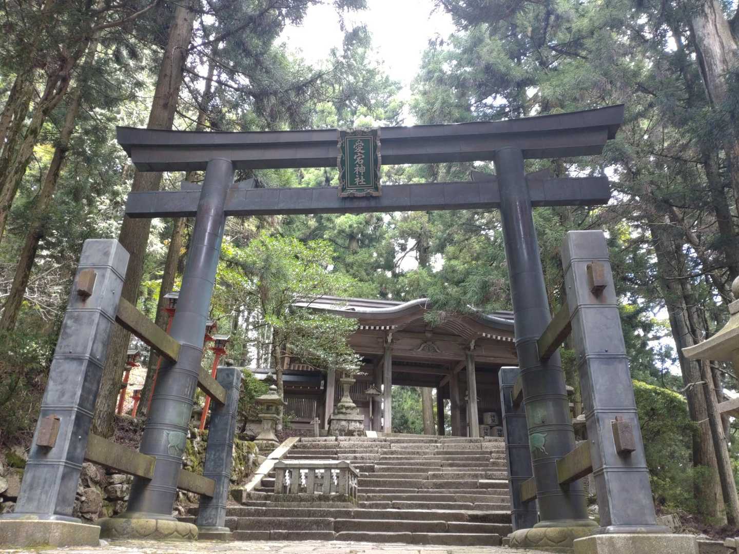 本殿へご挨拶
階段はもう少し続く