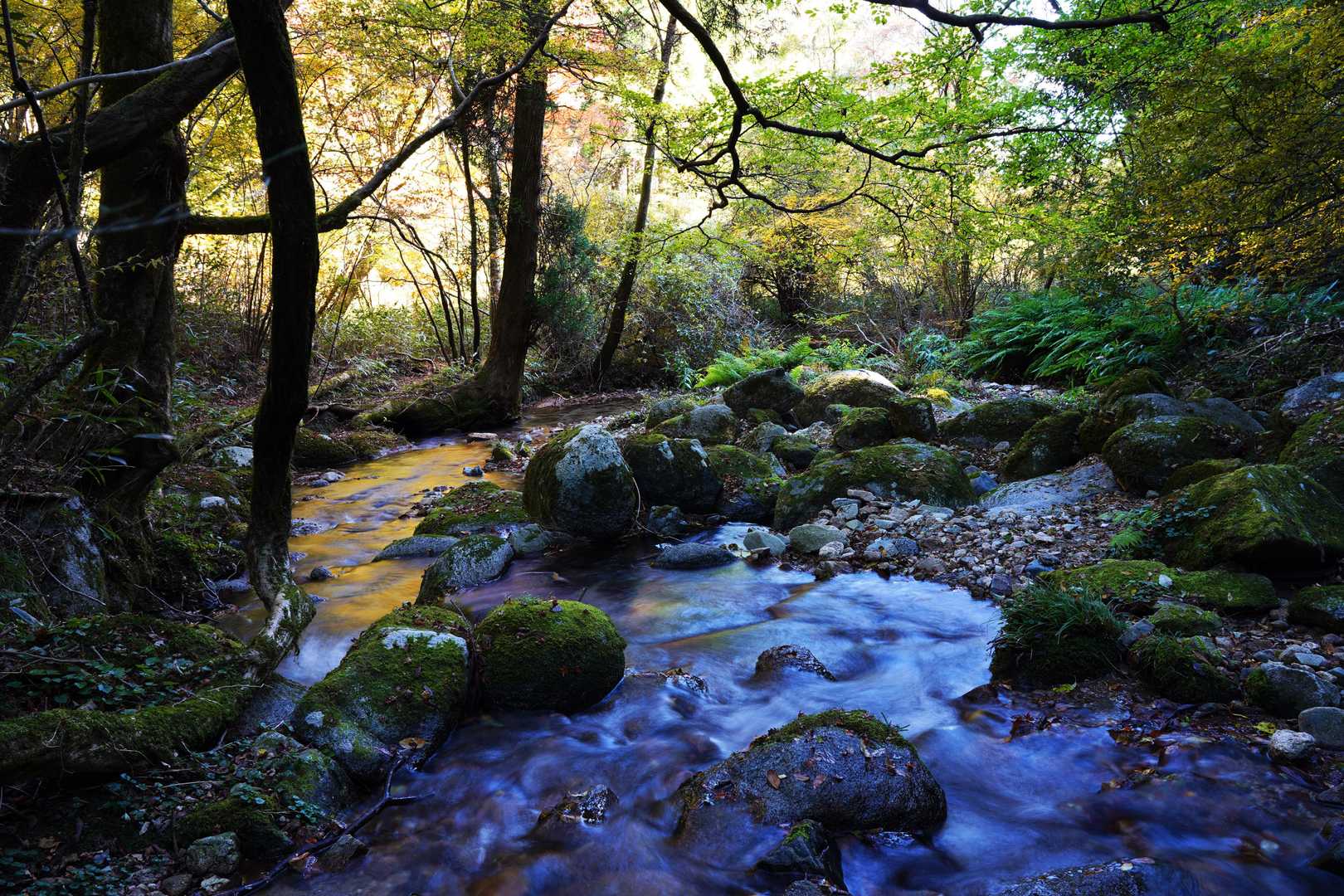 蛤岳 往復コースの写真
