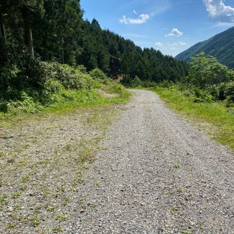 林道、助かった〜😅