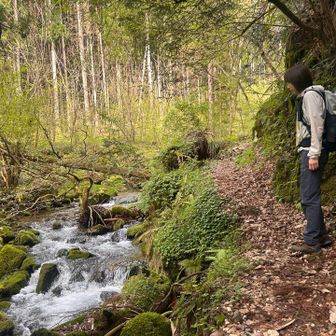 少し前にまとまった雨が降ったためか、水量は多め。
