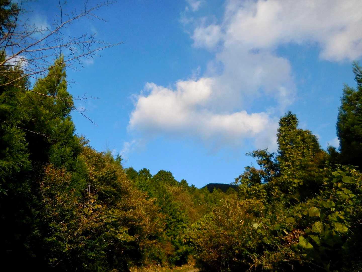 那岐山登山口-滝神社-滝山 往復コースの写真