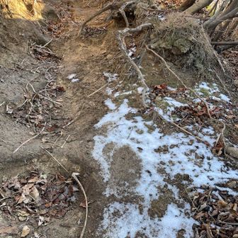 当然山頂近くも⛄️