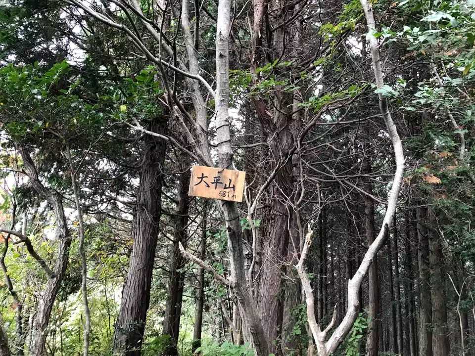 大平山の写真