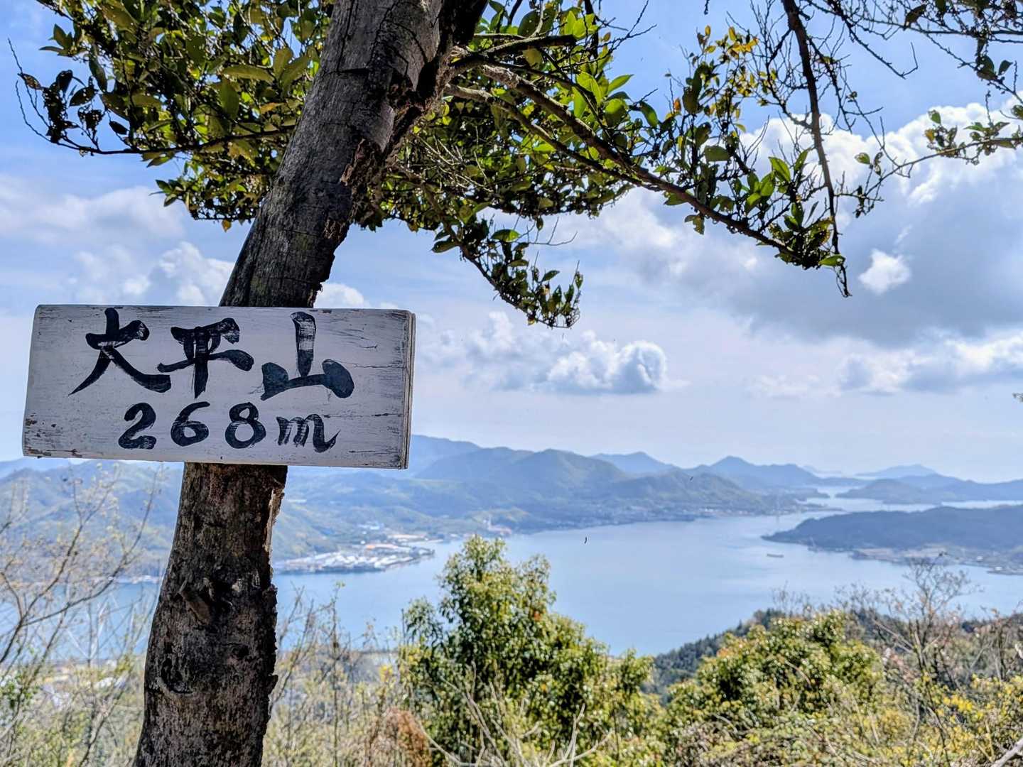 反対側も、穏やかな瀬戸内の良き景色が広がります🌊✨