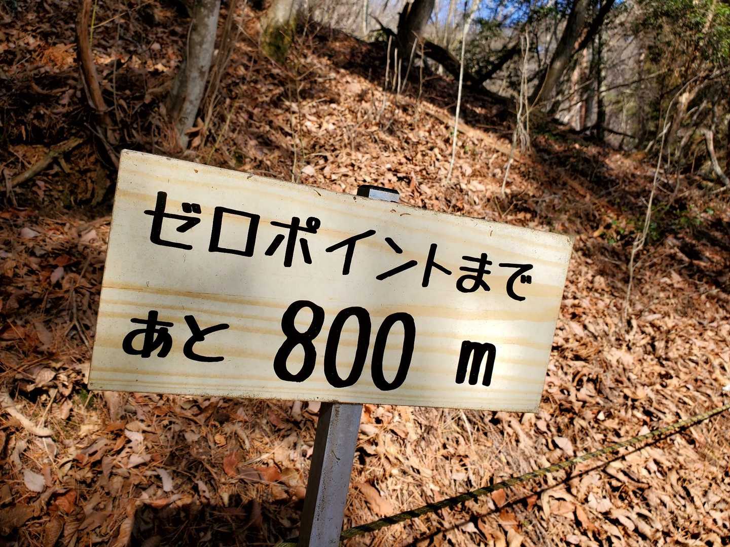 ゼロポイント　
細かく刻んでご案内💁‍♀️