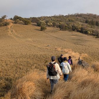 金冠山の先に気持ちの良い道が広がっていました