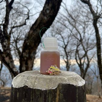 お供のネコバス&昭和レトロアイテムなポリ茶瓶