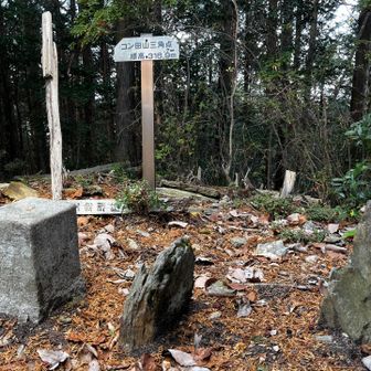 コン田山到着
石がいくつか立てられて、以前は文字が書かれてた