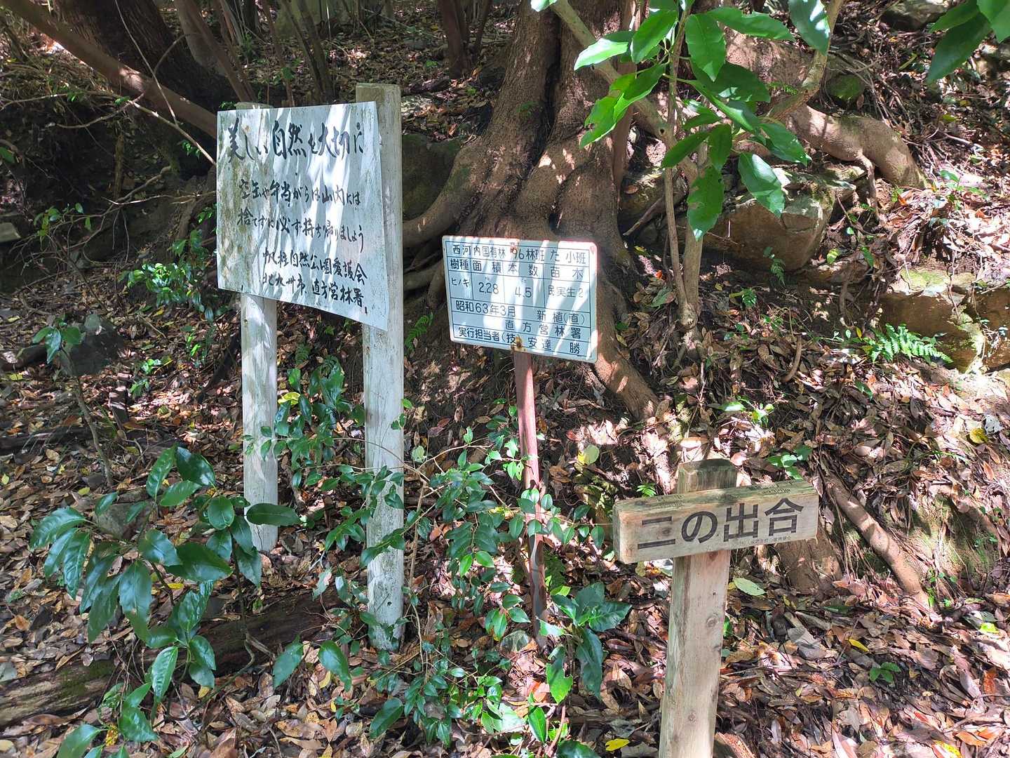 河内登山口-皿倉山 往復コースの写真