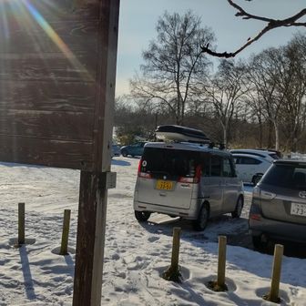 帰って来ました。