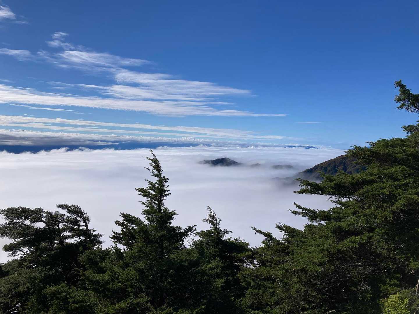 下界は、完全に雲海の下です。それにしても、きれいな雲海だなぁ。