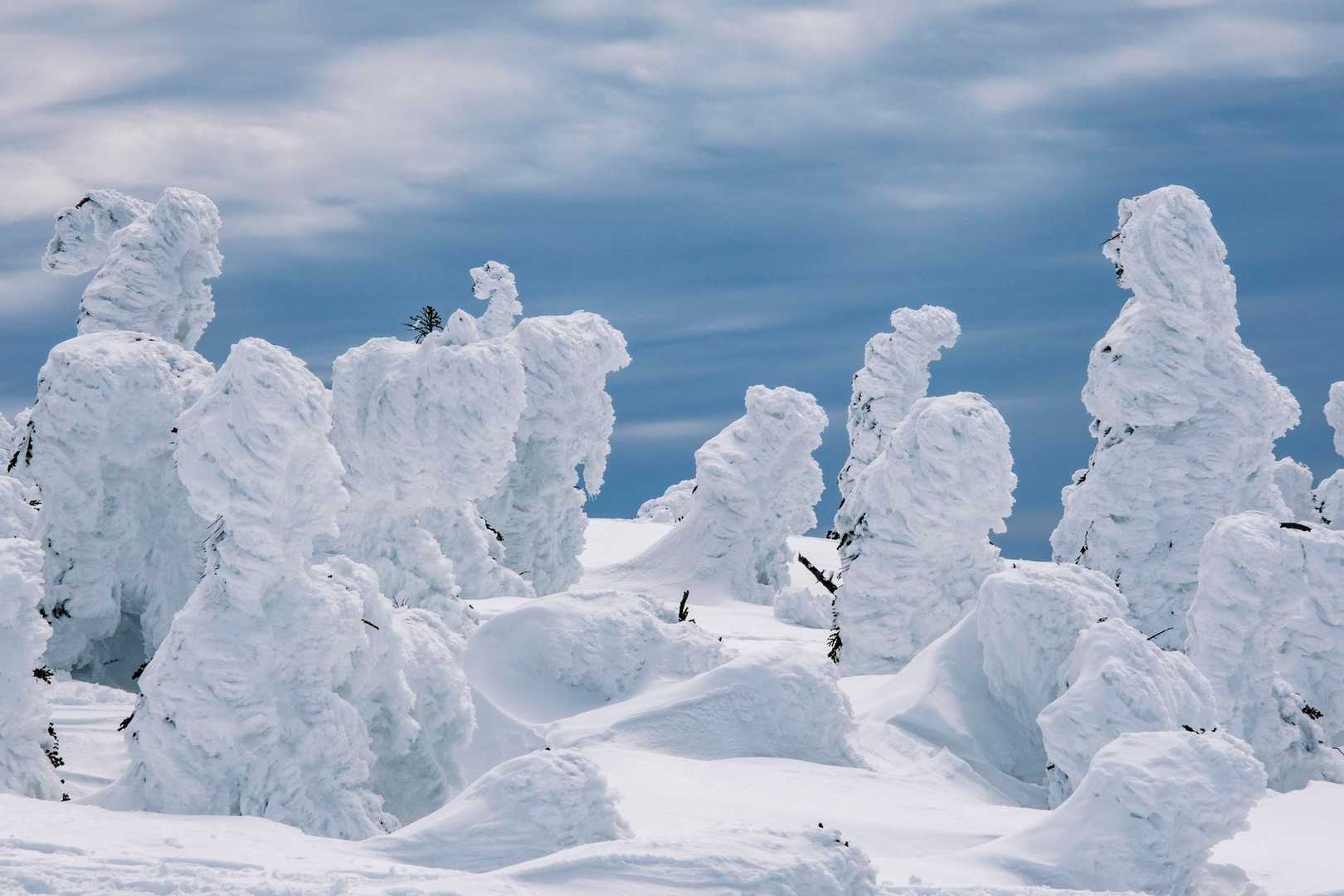 西大巓 往復コースの写真