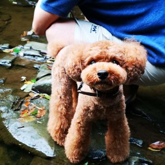 YUKA
