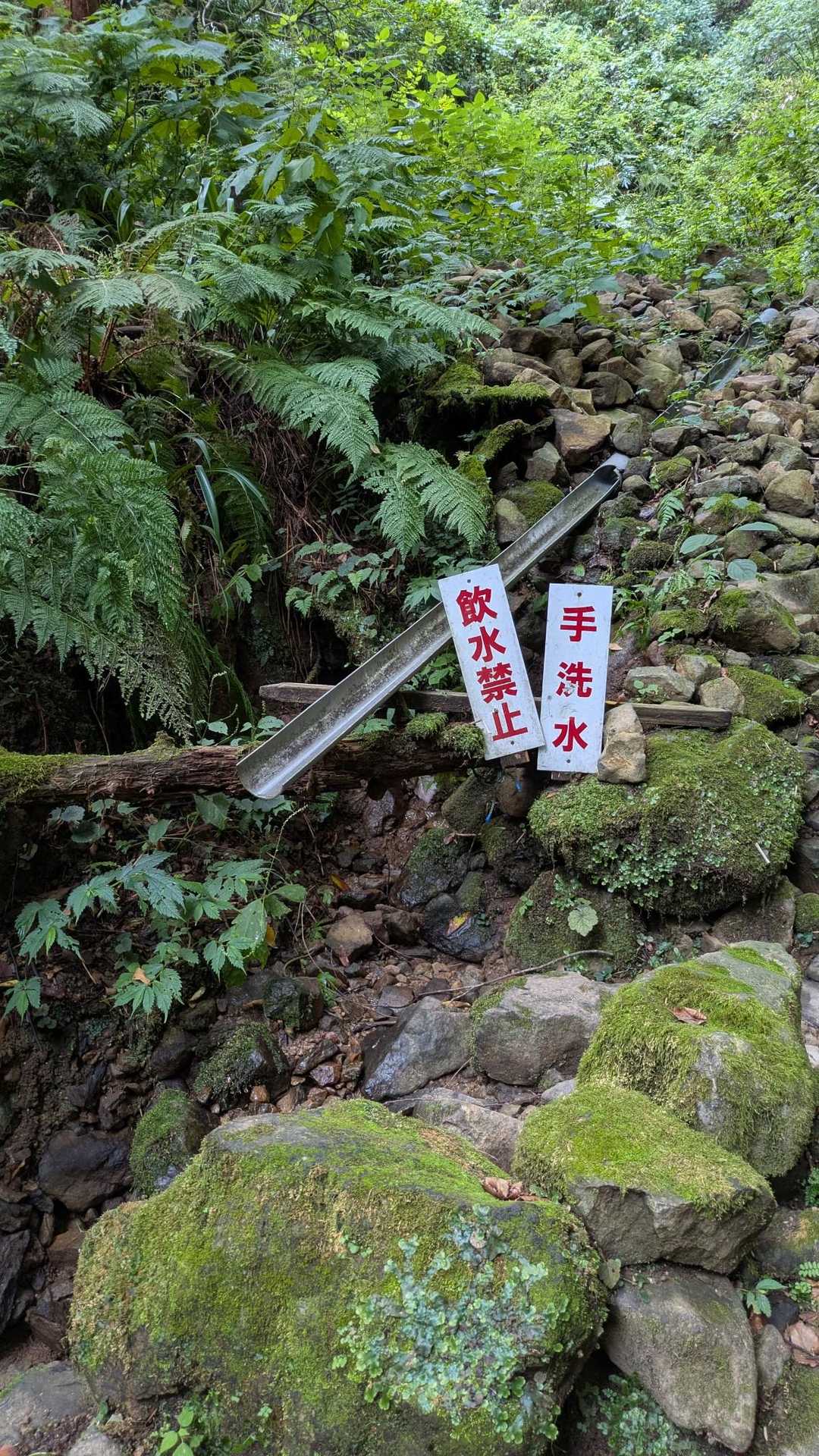 水、なし