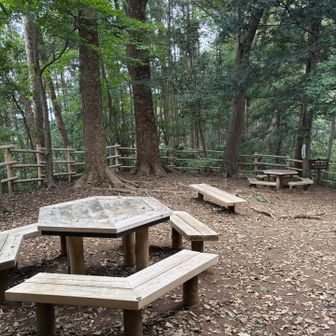 下見ヨーシ！
ここで山ご飯だな！
でもここだと薬王院には寄れない
悩む😕😕
