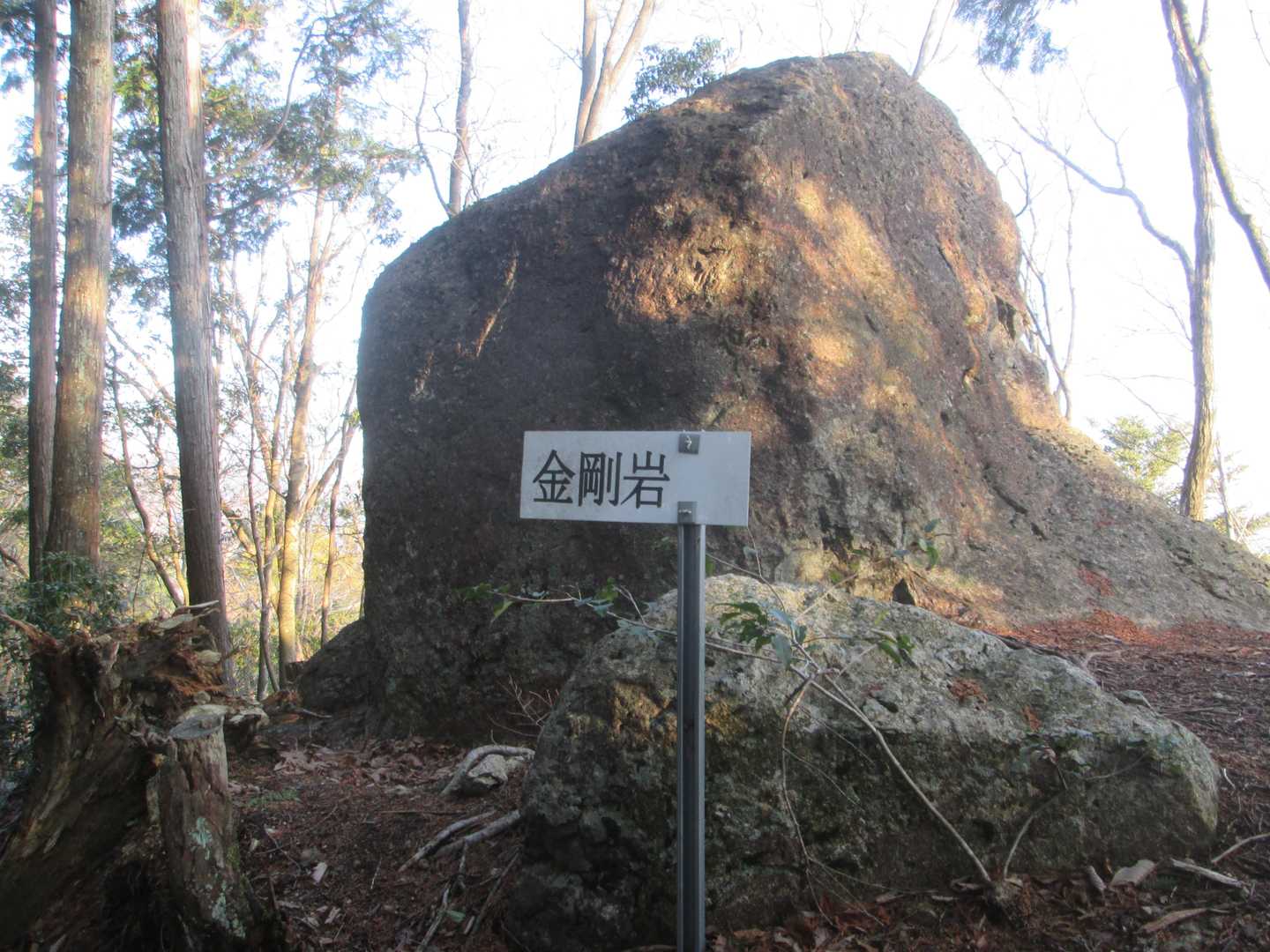 田井登山口-宮山-五十波登山口-田井南バス停-田井公民館前 周回コースの写真