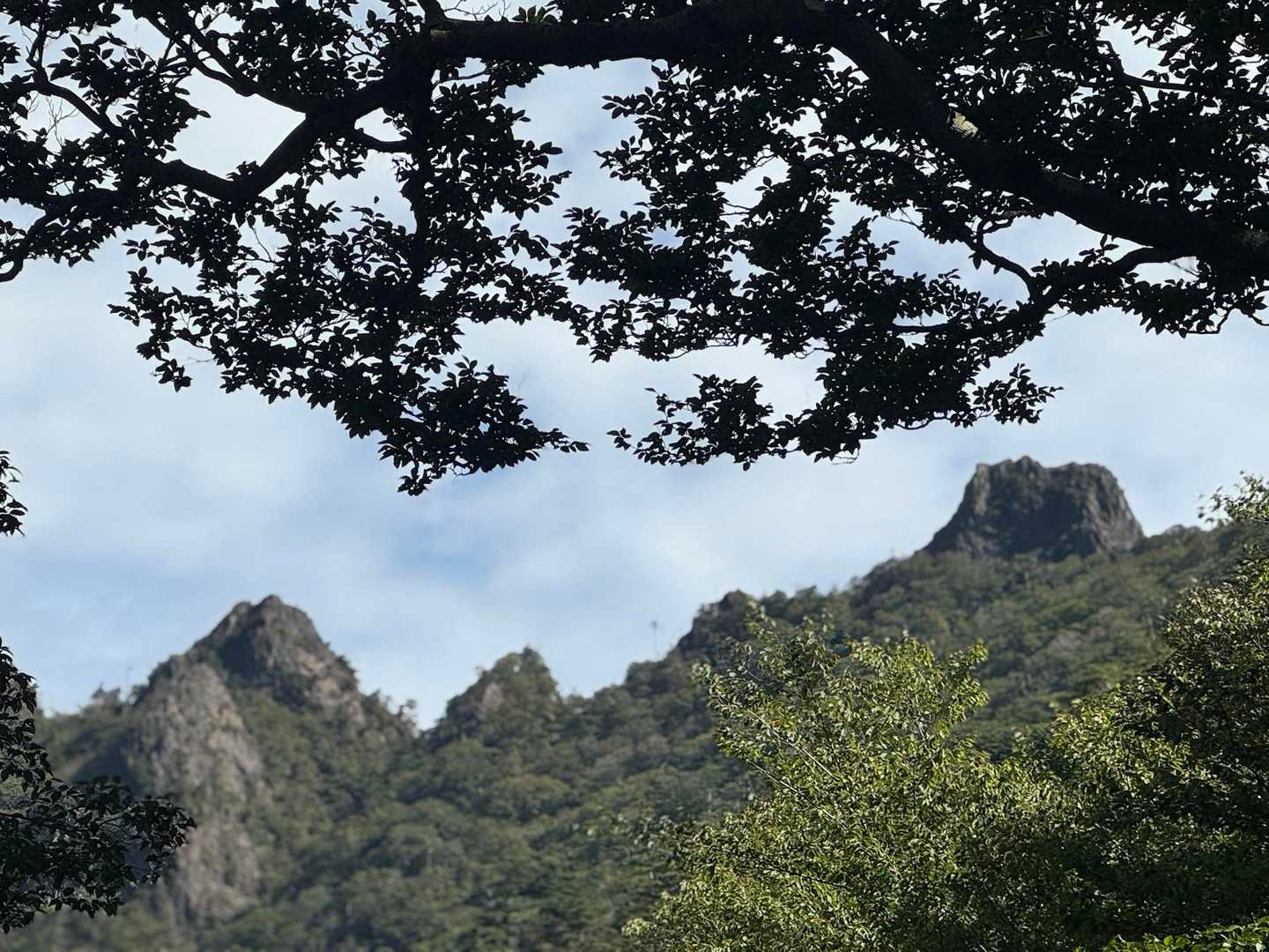 ずっと急坂を登ります⛰️
山頂の鹿納坊主（右）と鹿納の野へ続く稜線が見える👀